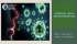 Що ж таке вірус – живе  чи неживе?