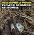 НЕ підходь, НЕ чіпай, телефонуй 101! Небезпечні м’ячики — кулькові осколкові авіабомби