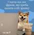 #тияк? Фрази, які треба казати собі зранку. ІНФОГРАФІКА