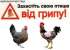 Грип птиці: шляхи передачі, клінічні ознаки та алгоритм дій при виявлені, превентивні заходи