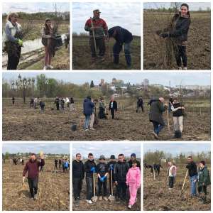 В Овручі почали закладати Алею лип до 1080-річчя міста